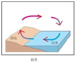 海陸風